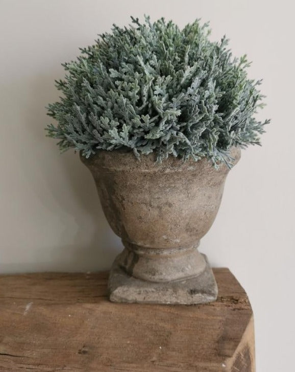 Faux Potted Cypress - TBI