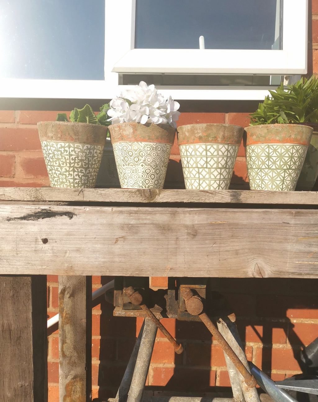 Assorted Patterned Plant Pots - TBI