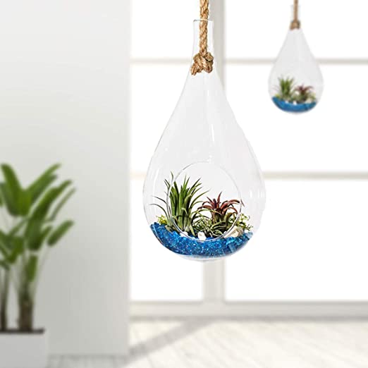 Glass Teardrop with Rope Succulent - The Burrow Interiors